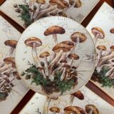 Platos decoupage para regalar León setas