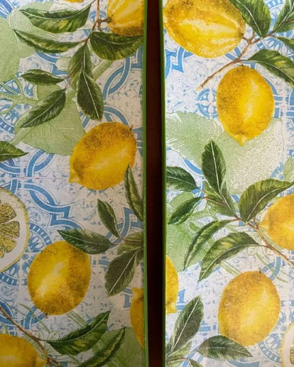 Platos decoupage para regalar León limones