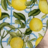 Platos decoupage para regalar León limones