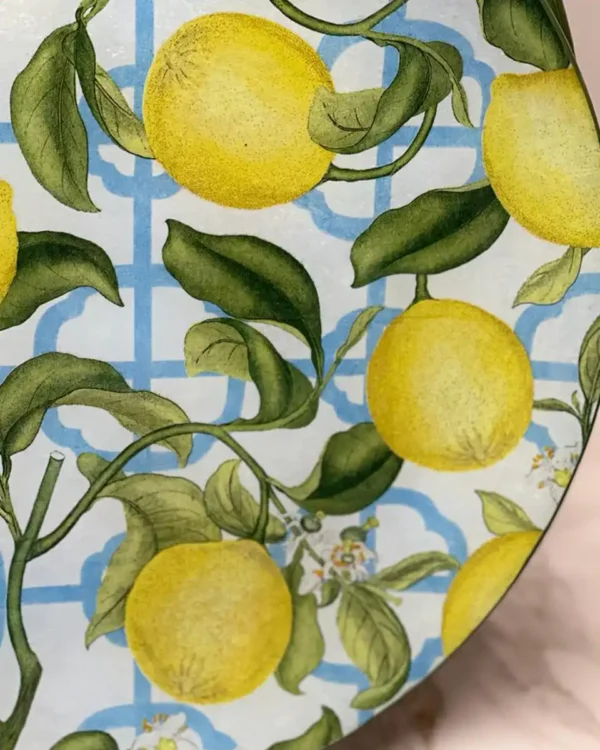 Platos decoupage para regalar León limones