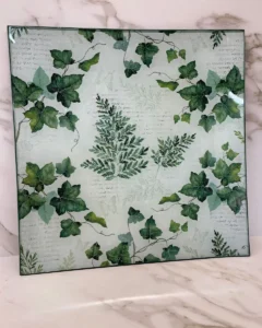 Platos decoupage León para regalar plantas trepadoras