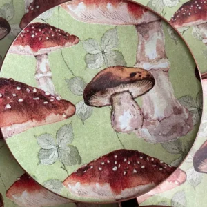 Platos decoupage León para regalar setas