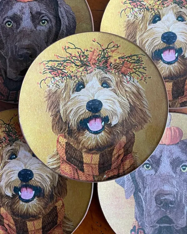 Platos decoupage León para regalar perros en Halloween