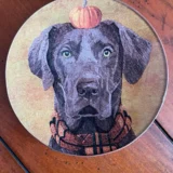 Platos decoupage para regalar perros en Halloween