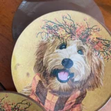 Platos decoupage León para regalar perros en Halloween