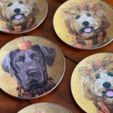 Platos decoupage para regalar perros en Halloween