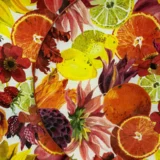 Platos decoupage León para regalar frutas