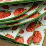 Platos decoupage León para regalar fresas