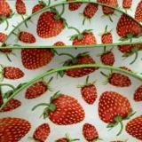 Platos decoupage León para regalar fresas