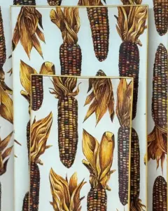 Platos decoupage para regalar León mazorcas de maiz